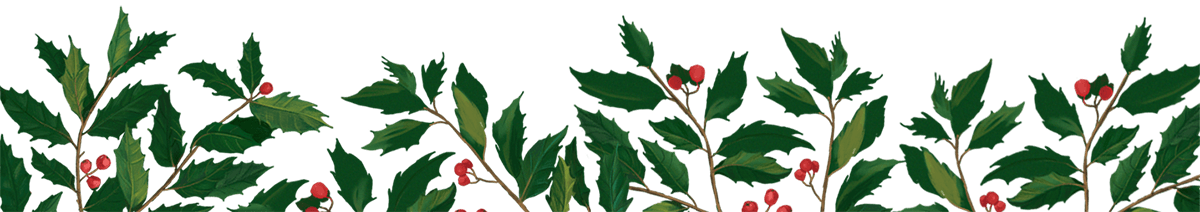 English Holly